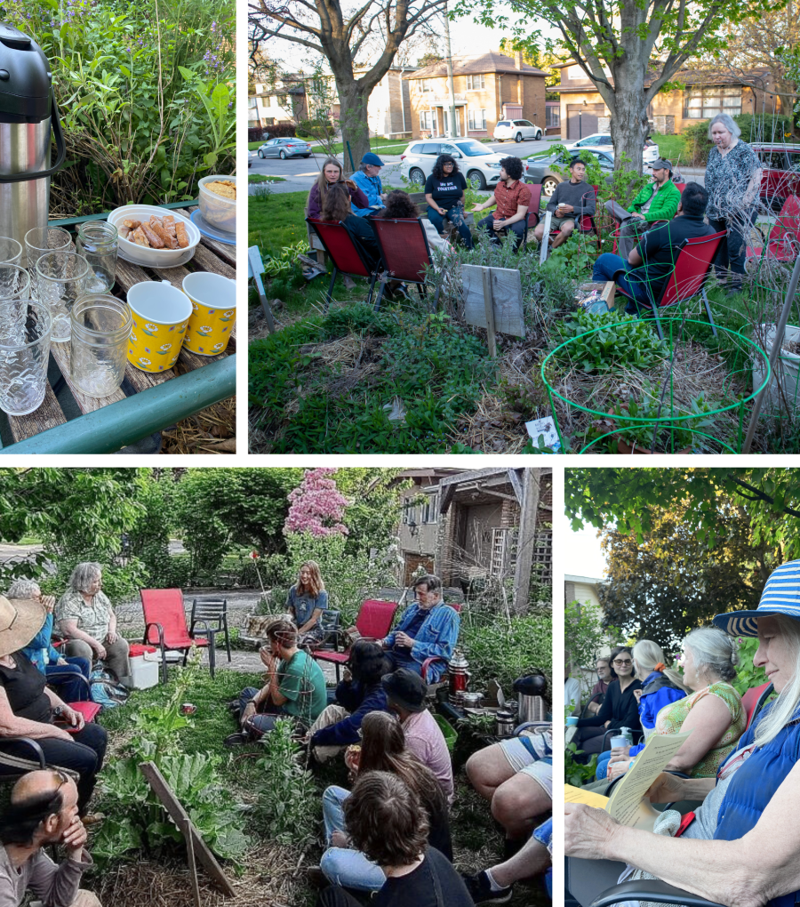 Neighbours seated in a circle of garden chairs at the Community Permaculture Lab; a table of glasses, mugs and a flask of tea in the foreground.